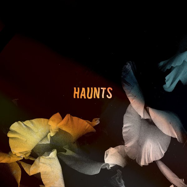 Bearcubs (Haunts / Packshot)