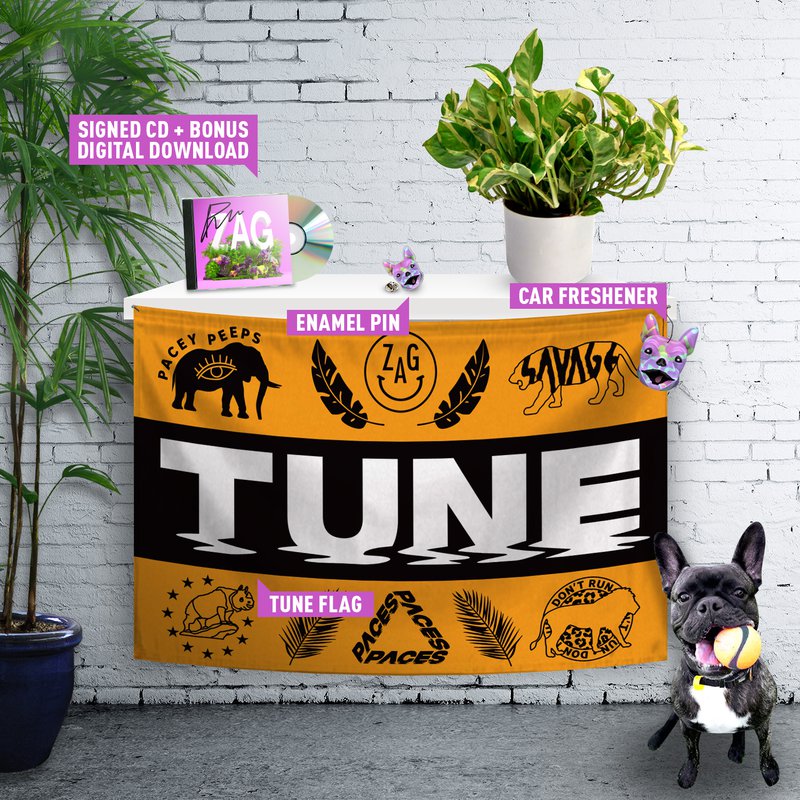 Paces (ZAG bundle / Image)