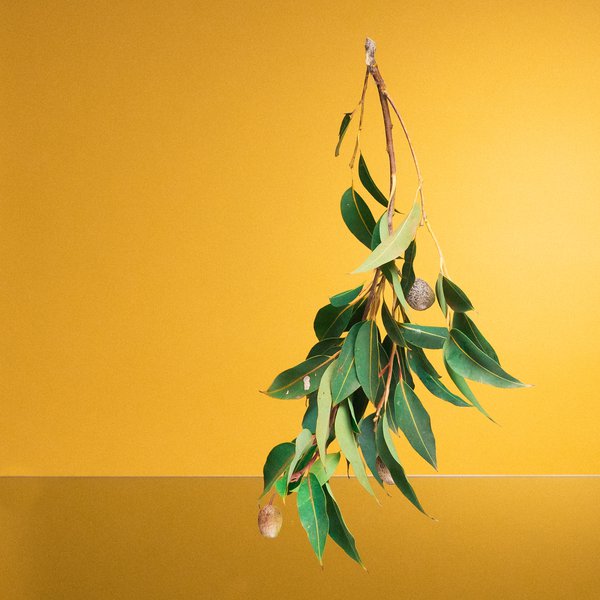 Klue (No Lie / Packshot)