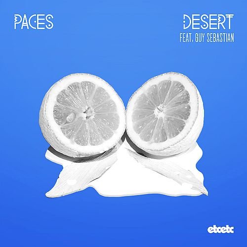Desert_pacjkshot